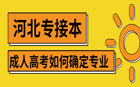 河北成人高考 成人高考如何確定自己的專業