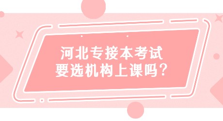 河北專接本考試要選機(jī)構(gòu)上課嗎_.jpg
