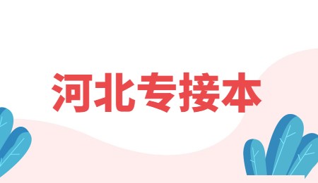 河北專(zhuān)接本.jpg