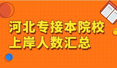 河北專接本院校上岸人數(shù)匯總.jpg