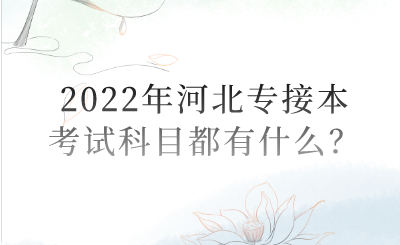 河北專接本的錄取率高嗎？.png