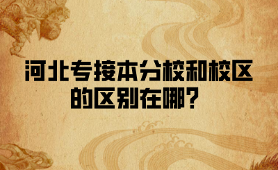 河北專接本分校和校區的區別在哪？.png