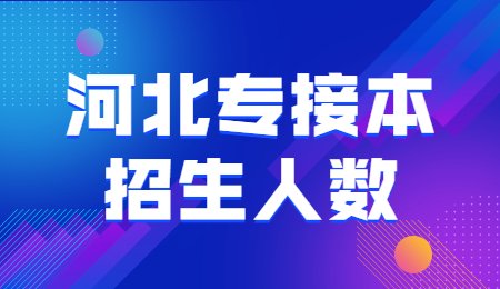 河北專接本招生人數.jpg