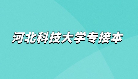 河北科技大學專接本.jpg