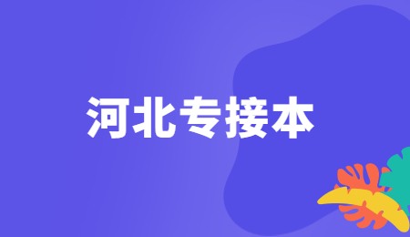 河北專接本.jpg