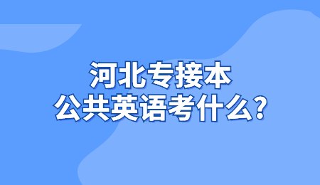 河北專接本公共英語考什么？.jpg