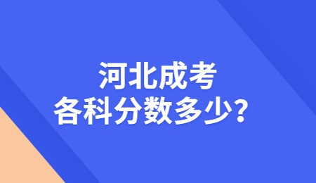 河北成考各科分數多少？
