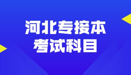 河北專接本考試科目