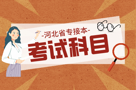  河北專接本會計學及其聯考專業