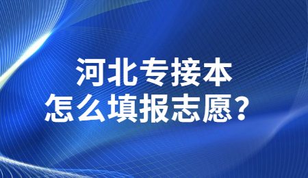 河北專接本怎么填報志愿？