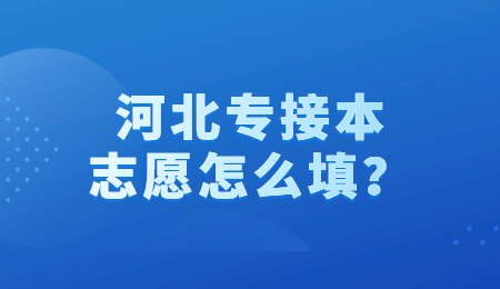 河北專接本志愿怎么填？