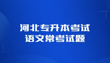 河北專升本考試語文常考試題