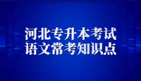 河北專升本考試語文常考知識點