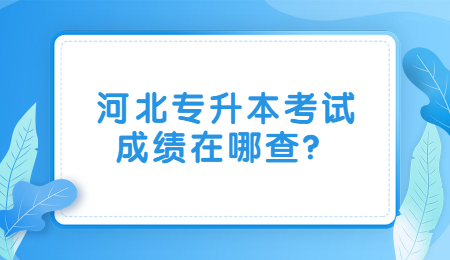 河北專升本考試成績在哪查？