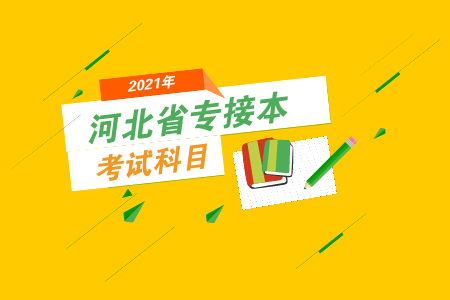河北專接本思政專業考什么