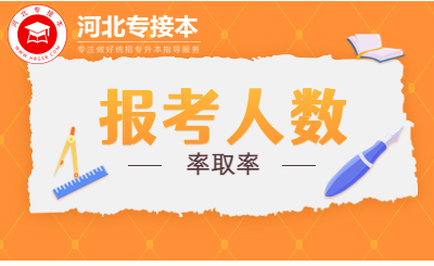2023河北專升本報(bào)考人數(shù)8.8W+，錄取率低至9.07%！